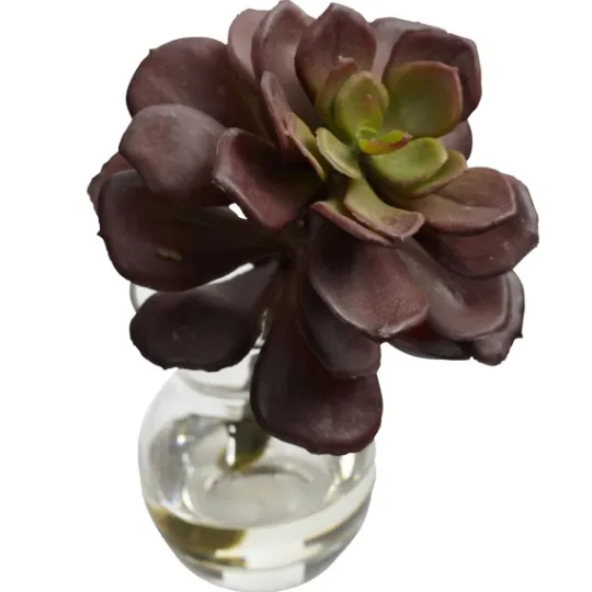 Kirkland's Home Succulents In Glass Vases, Set Of 3- Arrangements & Greenery