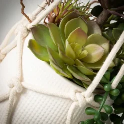 Kirkland's Home Succulents In Hanging Macrame Planter- Arrangements & Greenery