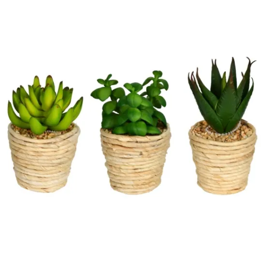 Kirkland's Home Succulents In Twine Planters, Set Of 3- Arrangements & Greenery