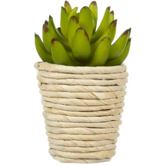 Kirkland's Home Succulents In Twine Planters, Set Of 3- Arrangements & Greenery