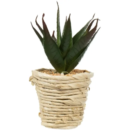 Kirkland's Home Succulents In Twine Planters, Set Of 3- Arrangements & Greenery