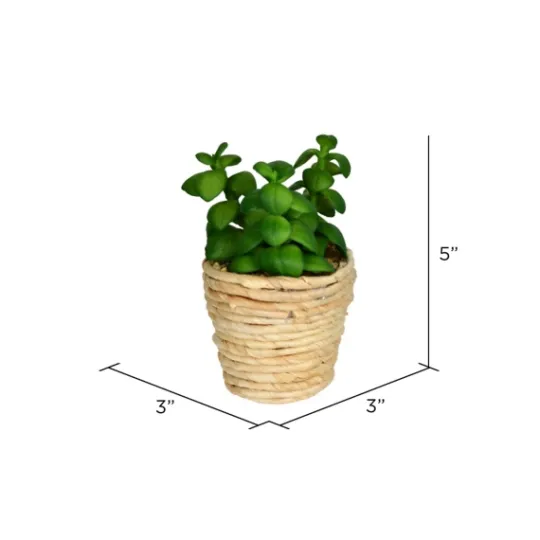 Kirkland's Home Succulents In Twine Planters, Set Of 3- Arrangements & Greenery