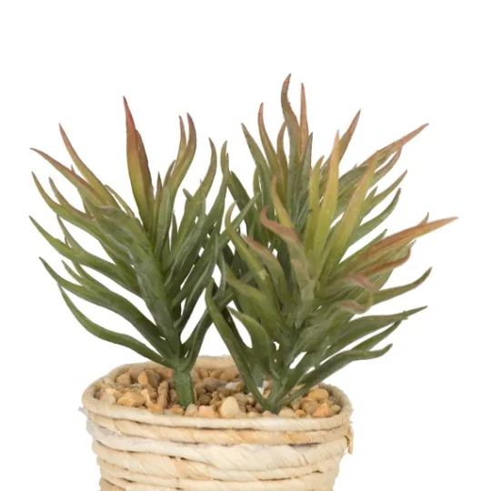 Kirkland's Home Succulents In Twine Planters, Set Of 3- Arrangements & Greenery