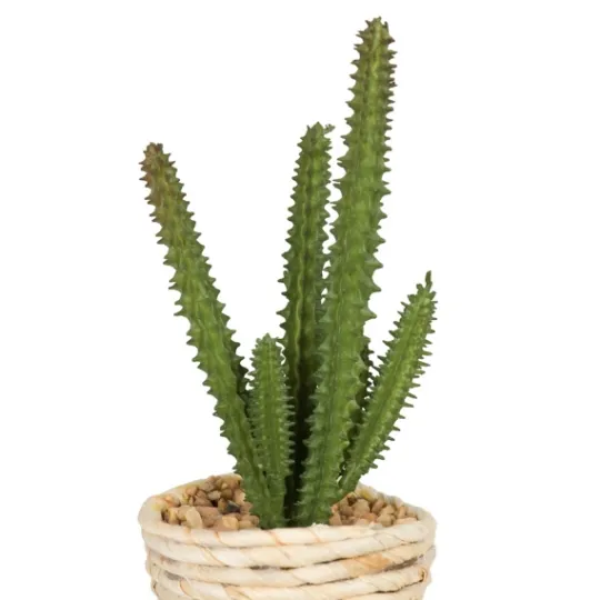 Kirkland's Home Succulents In Twine Planters, Set Of 3- Arrangements & Greenery