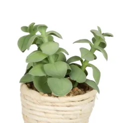 Kirkland's Home Succulents In Twine Planters, Set Of 3- Arrangements & Greenery