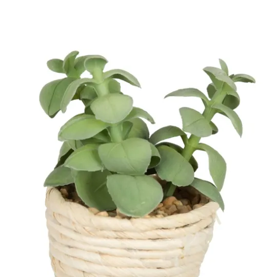 Kirkland's Home Succulents In Twine Planters, Set Of 3- Arrangements & Greenery
