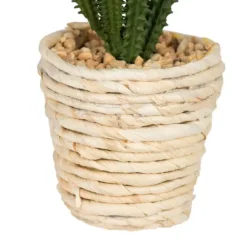 Kirkland's Home Succulents In Twine Planters, Set Of 3- Arrangements & Greenery