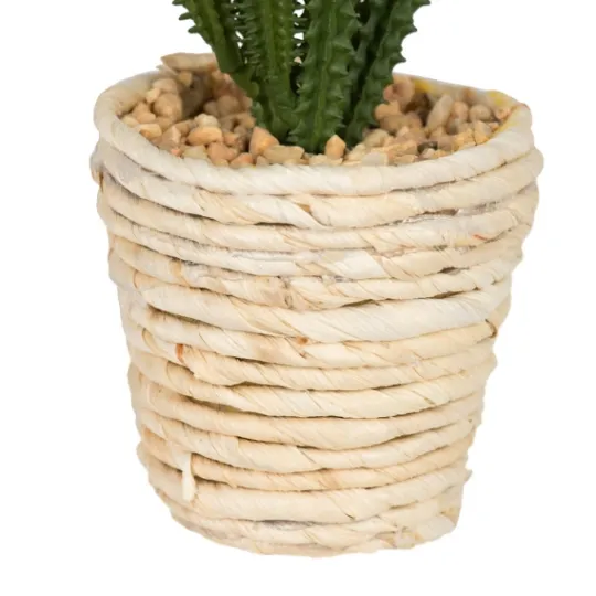 Kirkland's Home Succulents In Twine Planters, Set Of 3- Arrangements & Greenery