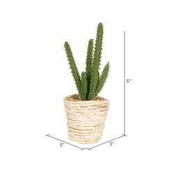 Kirkland's Home Succulents In Twine Planters, Set Of 3- Arrangements & Greenery