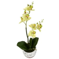Kirkland's Home Sunshine Orchids In Speckled Planters, Set Of 2- Arrangements & Greenery