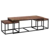 Kirkland's Home Tawny Nesting 3-Pc. Coffee And Accent Table Set- Coffee Tables