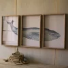 Kirkland's Home Triptych Whale Framed Art Prints, Set Of 3- Framed Art