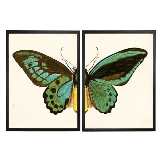 Kirkland's Home Turquoise Butterfly Framed Art Prints, Set Of 2- Framed Art