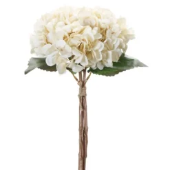 Kirkland's Home Twine Tied Cream Hydrangea Bundles, Set Of 12- Stems & Bouquets