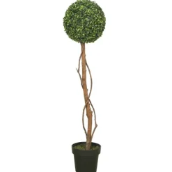 Kirkland's Home Twisted Trunk Boxwood Ball Topiary- Trees & Topiaries