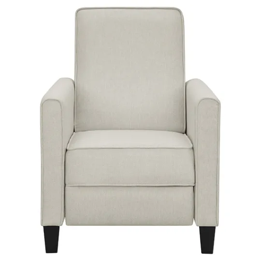 Kirkland's Home Upholstered Slim Push-Back Recliner- Accent Chairs