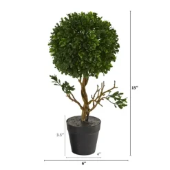 Kirkland's Home Uv-Safe Boxwood Topiary In Nursery Planter- Trees & Topiaries