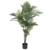 Kirkland's Home Uv-Safe Robellini Palm Tree In Nursery Planter- Trees & Topiaries