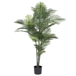 Kirkland's Home Uv-Safe Robellini Palm Tree In Nursery Planter- Trees & Topiaries