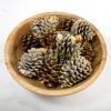 Kirkland's Home Vanilla Spice Pine Cone Potpourri- Bowl Filler