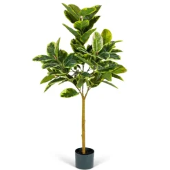 Kirkland's Home Variegated Rubber Tree In Black Pot, 4 Ft.- Trees & Topiaries