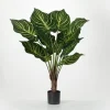 Kirkland's Home Veined Zebra Palm Potted Plant- Trees & Topiaries