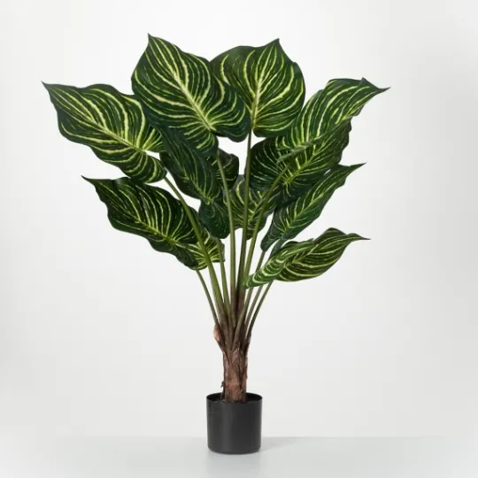 Kirkland's Home Veined Zebra Palm Potted Plant- Trees & Topiaries