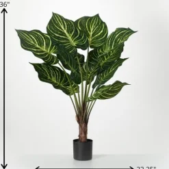Kirkland's Home Veined Zebra Palm Potted Plant- Trees & Topiaries