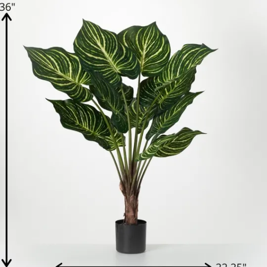 Kirkland's Home Veined Zebra Palm Potted Plant- Trees & Topiaries
