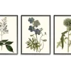 Kirkland's Home Vintage Blue Flowers Framed Art Prints, Set Of 3- Framed Art