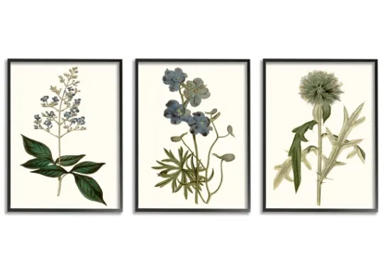 Kirkland's Home Vintage Blue Flowers Framed Art Prints, Set Of 3- Framed Art