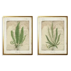 Kirkland's Home Vintage Green Ferns Framed Art Prints, Set Of 2- Framed Art
