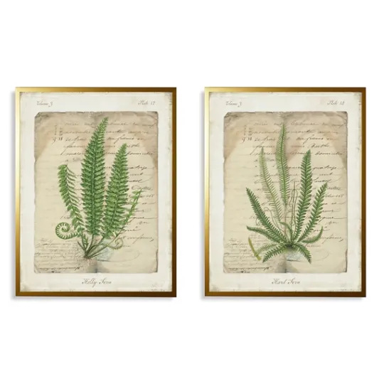 Kirkland's Home Vintage Green Ferns Framed Art Prints, Set Of 2- Framed Art
