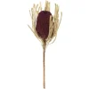 Kirkland's Home Violet Dried Jumbo Banksia Stems, Set Of 3- Stems & Bouquets