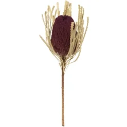 Kirkland's Home Violet Dried Jumbo Banksia Stems, Set Of 3- Stems & Bouquets