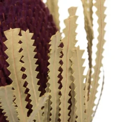 Kirkland's Home Violet Dried Jumbo Banksia Stems, Set Of 3- Stems & Bouquets