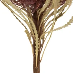 Kirkland's Home Violet Dried Jumbo Banksia Stems, Set Of 3- Stems & Bouquets