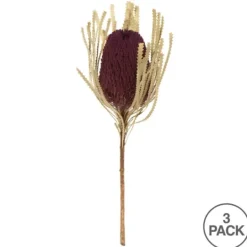 Kirkland's Home Violet Dried Jumbo Banksia Stems, Set Of 3- Stems & Bouquets