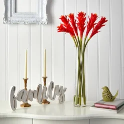 Kirkland's Home Watered Star Bromeliad Bouqet In Glass Vase- Arrangements & Greenery