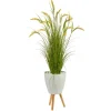 Kirkland's Home Wheat Grass In White Planter- Trees & Topiaries
