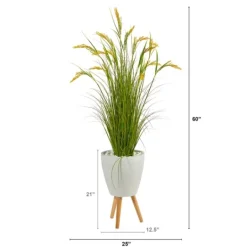 Kirkland's Home Wheat Grass In White Planter- Trees & Topiaries