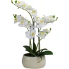Kirkland's Home White Orchid In Round Ceramic Bowl- Arrangements & Greenery