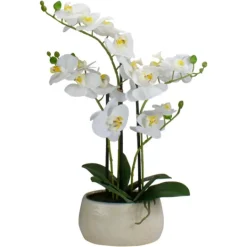 Kirkland's Home White Orchid In Round Ceramic Bowl- Arrangements & Greenery