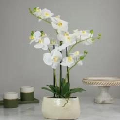 Kirkland's Home White Orchid In Round Ceramic Bowl- Arrangements & Greenery