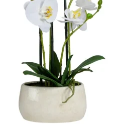 Kirkland's Home White Orchid In Round Ceramic Bowl- Arrangements & Greenery