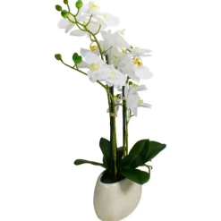 Kirkland's Home White Orchid In Round Ceramic Bowl- Arrangements & Greenery