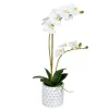 Kirkland's Home White Orchid Real Touch Arrangement In Ceramic Pot- Arrangements & Greenery