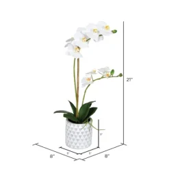 Kirkland's Home White Orchid Real Touch Arrangement In Ceramic Pot- Arrangements & Greenery
