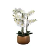 Kirkland's Home White Real Touch Orchid Arrangement In Gold Pot- Arrangements & Greenery