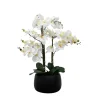 Kirkland's Home White Real Touch Orchid Arrangement In Black Pot- Arrangements & Greenery